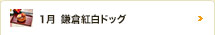 1月 鎌倉紅白椿ドッグ