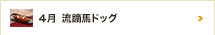 4月 流鏑馬ドッグ